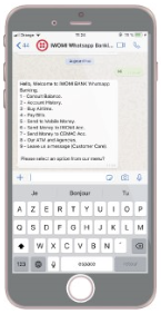 SMS Banking Interface
